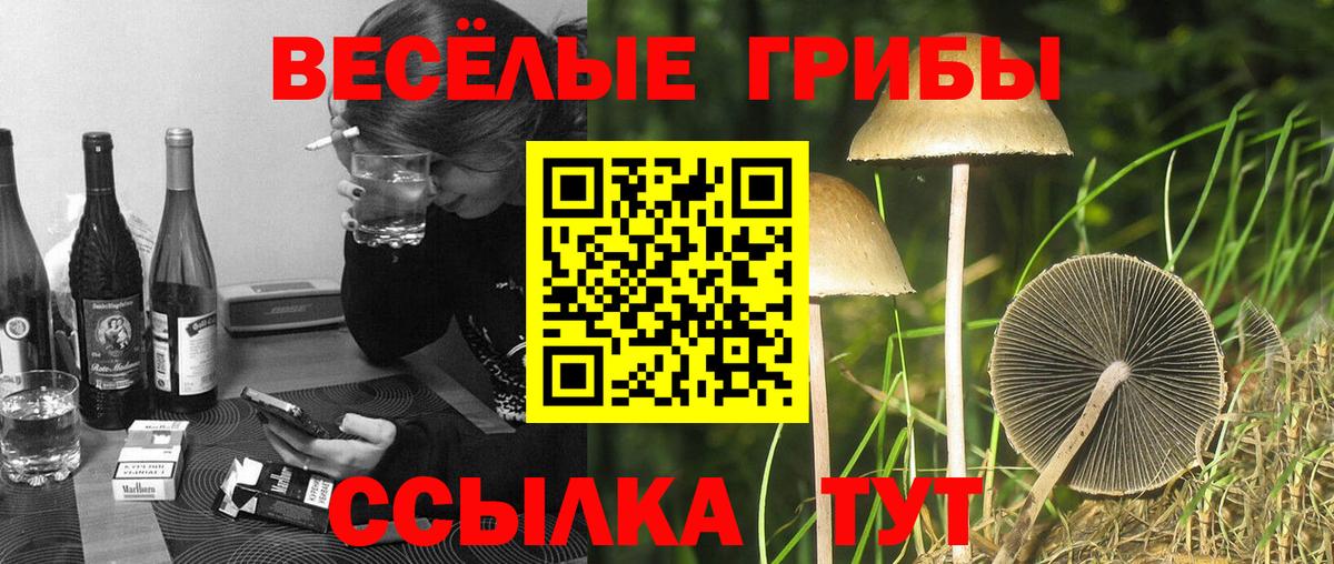 Галлюциногенные грибы мицелий  Галлюциногенные грибы ЛСД  Туймазы  Вход с VPN 