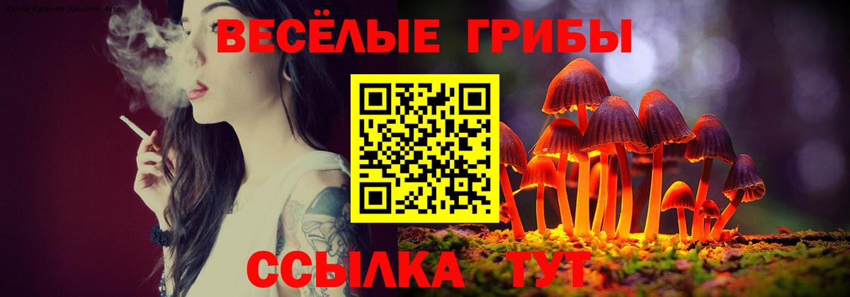 Псилоцибиновые грибы мухоморы Туймазы